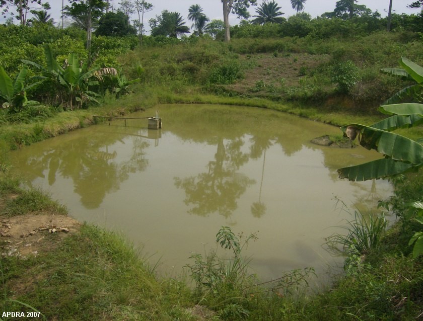 rci_etang