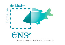 logo Domaine Lindre