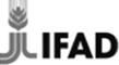 logo FIDA